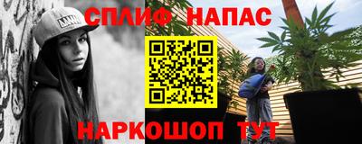 прущие грибы Беслан