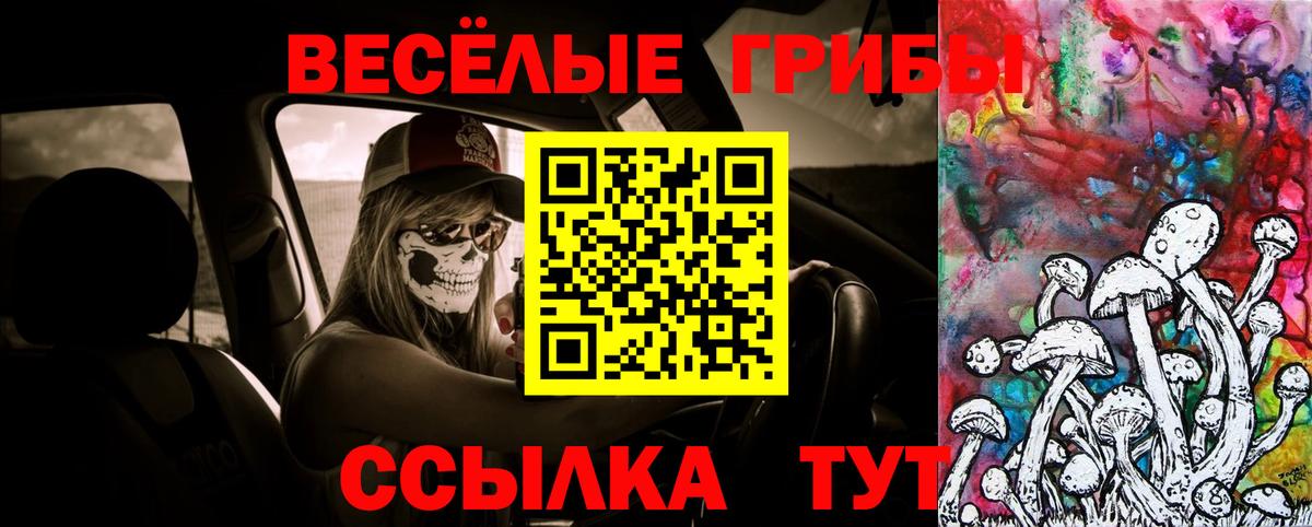 Каменск-Уральский  Псилоцибиновые грибы ЛСД  Вход с VPN 